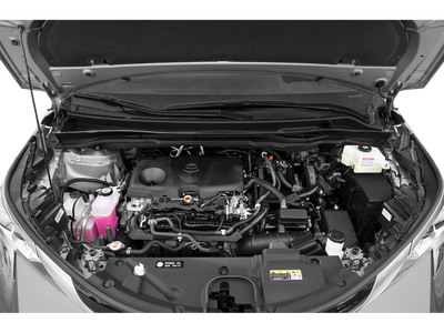 2021 Toyota Sienna Platinum 7 Passenger