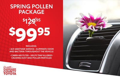 Spring Pollen Package