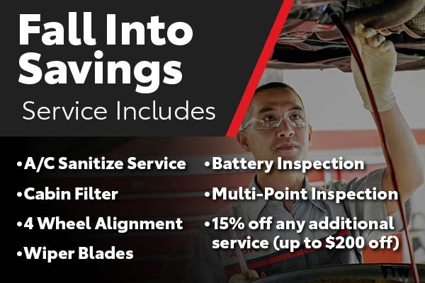 Fall Into Savings Special